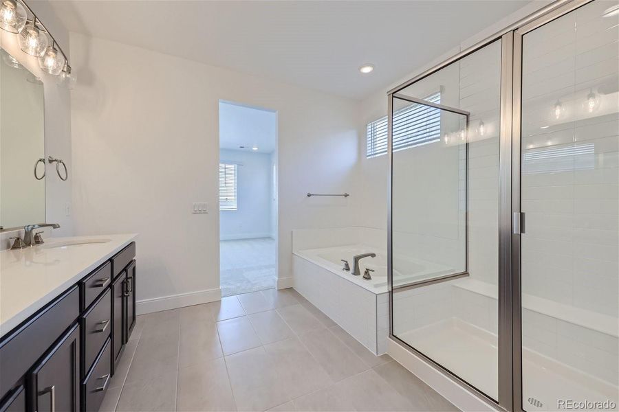 Primary Bathroom with both Tub & Shower