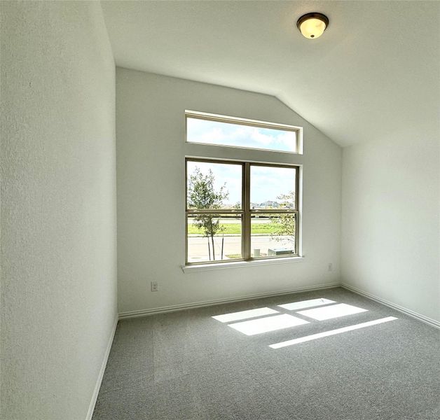 Additional living space featuring carpet floors, vaulted ceiling, and a textured wall Additional living space featuring carpet floors, vaulted ceiling, and a textured wall