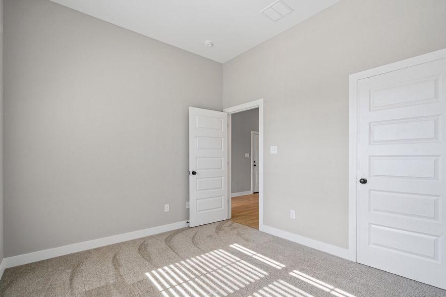 Room featuring light gray walls, plush carpeting, and white trim