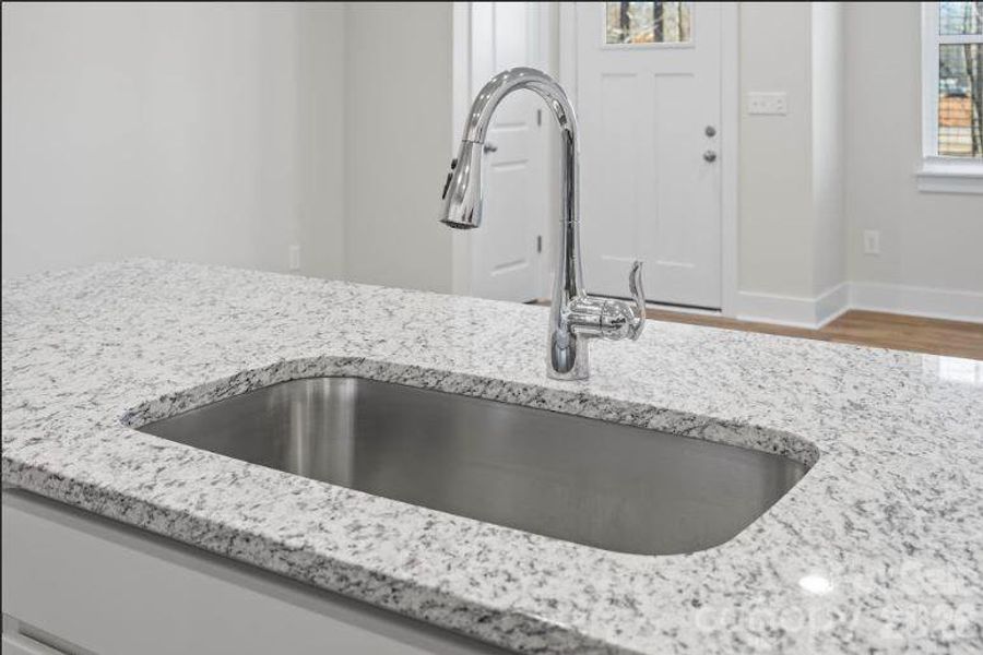 Close-up of interior finishes inside a home in Sierra Ridge, Gastonia (Image 9).