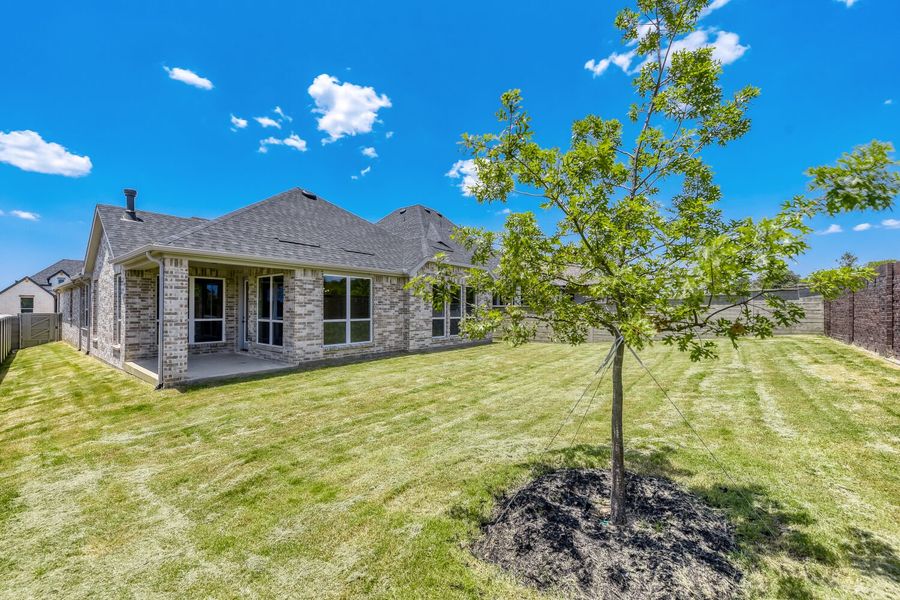 9817 Oak Glade - Backyard