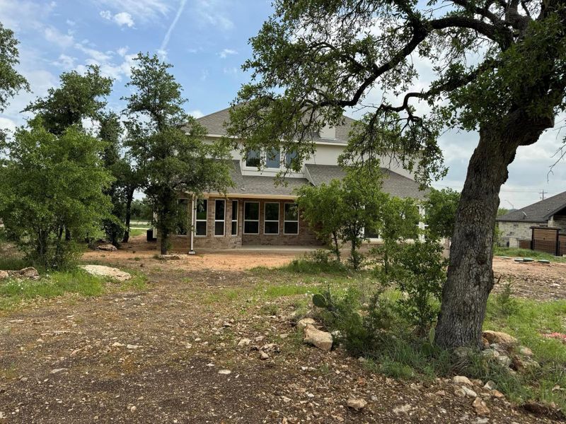 View of back yard