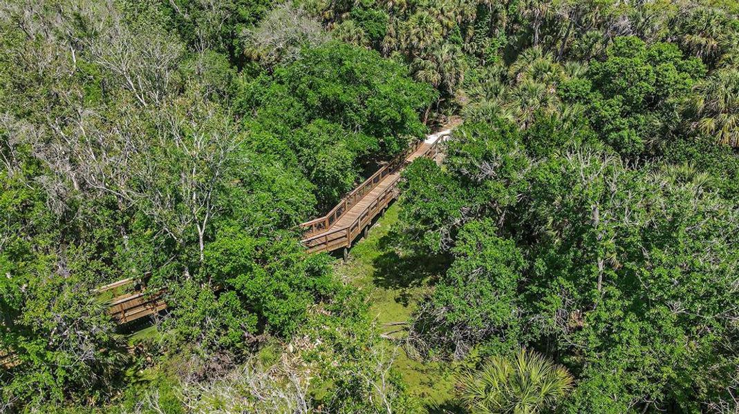 Natural landscape and outdoor views near Skye Ranch Community Group Page in Sarasota (Image 82).