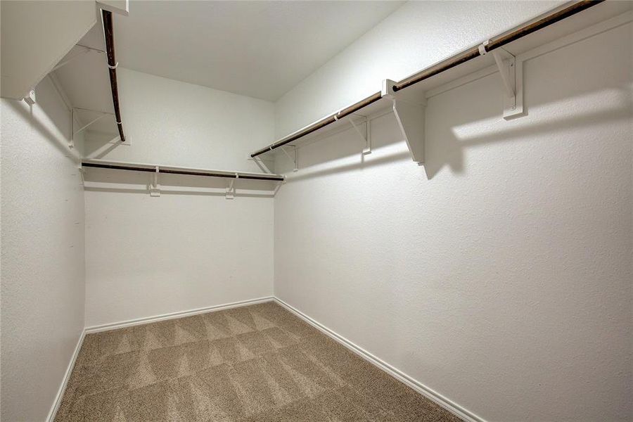 Walk in closet featuring carpet flooring