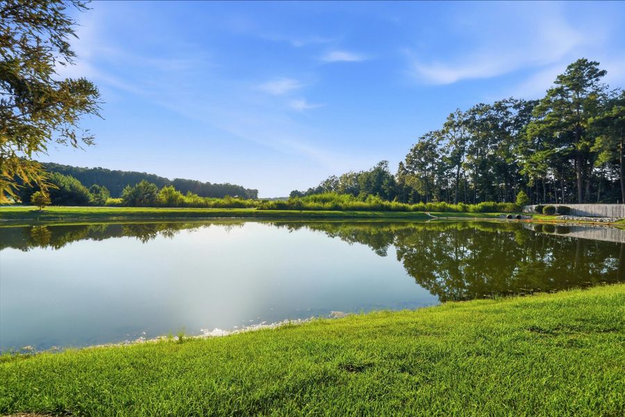 Natural landscape and outdoor views near in Summerville (Image 32). Natural landscape and outdoor views near in Summerville (Image 32).