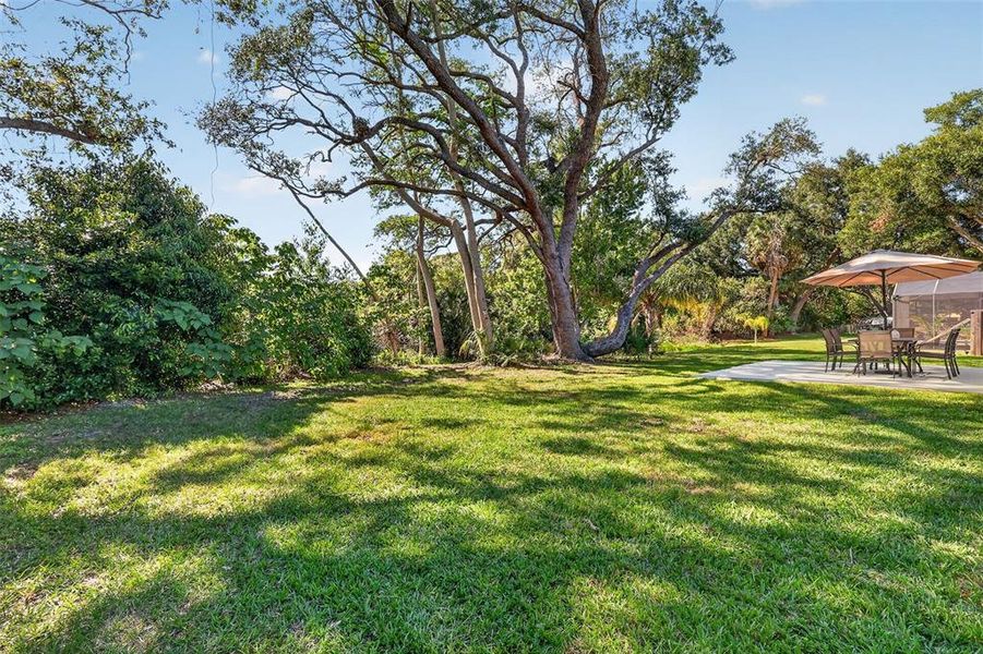 Natural landscape and outdoor views near  in Mount Dora (Image 41).
