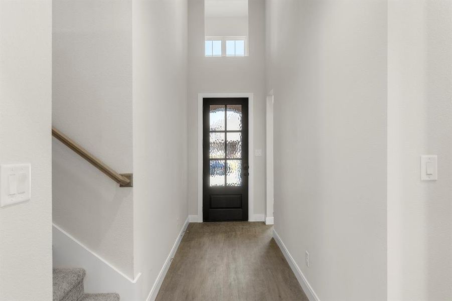 2_03. 1201 Century Tree - Entry