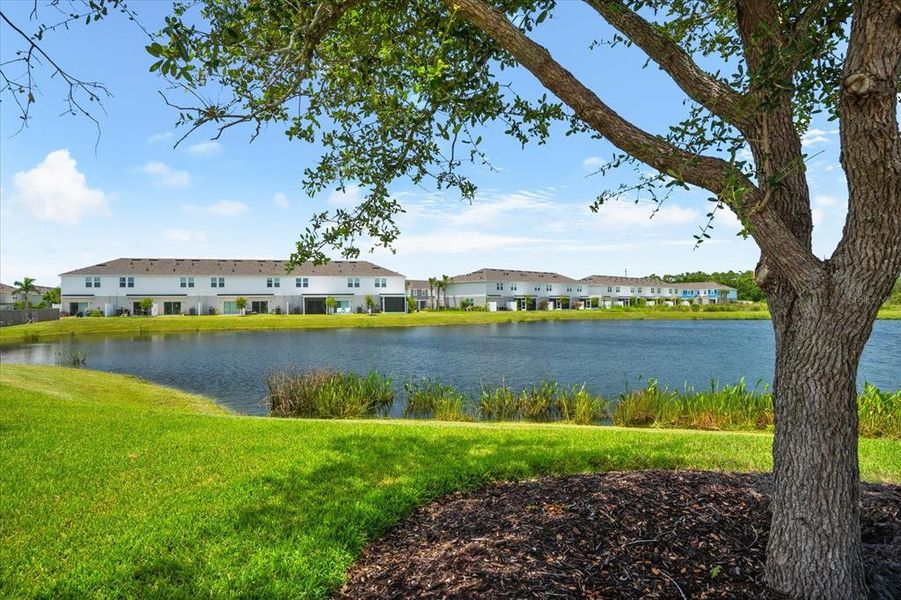 Natural landscape and outdoor views near  in Sarasota (Image 82).