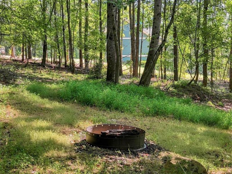 Natural landscape and outdoor views near  in Talking Rock (Image 45).