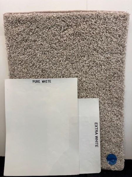 Sample of building materials used in homes in Katy Court 60', Katy (Image 18).