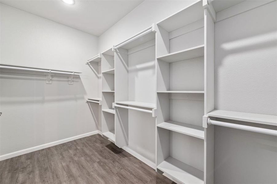 Spacious closet featuring dark hardwood / wood-style floors