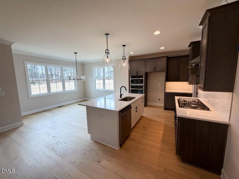 Photo Feb 16 2026, 11 01 41 AM (Medium)