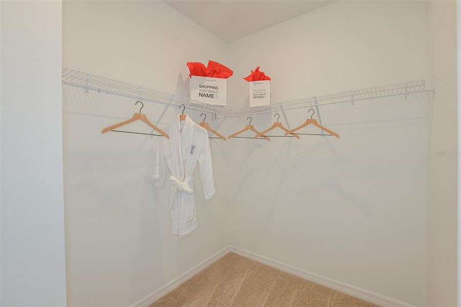 REPRESENTATIVE PHOTO