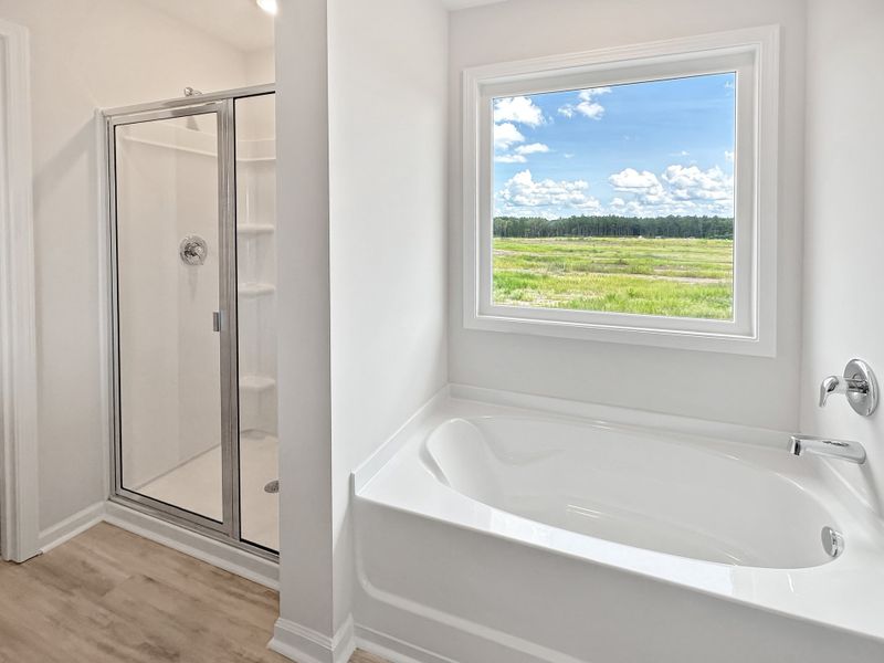 Furnished interior view inside a new home in Tranquil South, Hinesville (Image 10). Furnished interior view inside a new home in Tranquil South, Hinesville (Image 10).