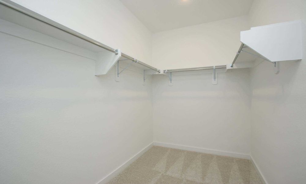 Representative Primary Closet - some options shown