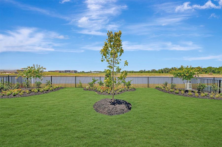 Amazing views from the backyard!