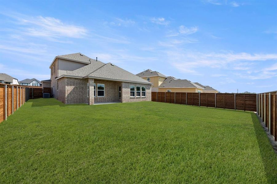 27. 2020 Jasper - Back (2)