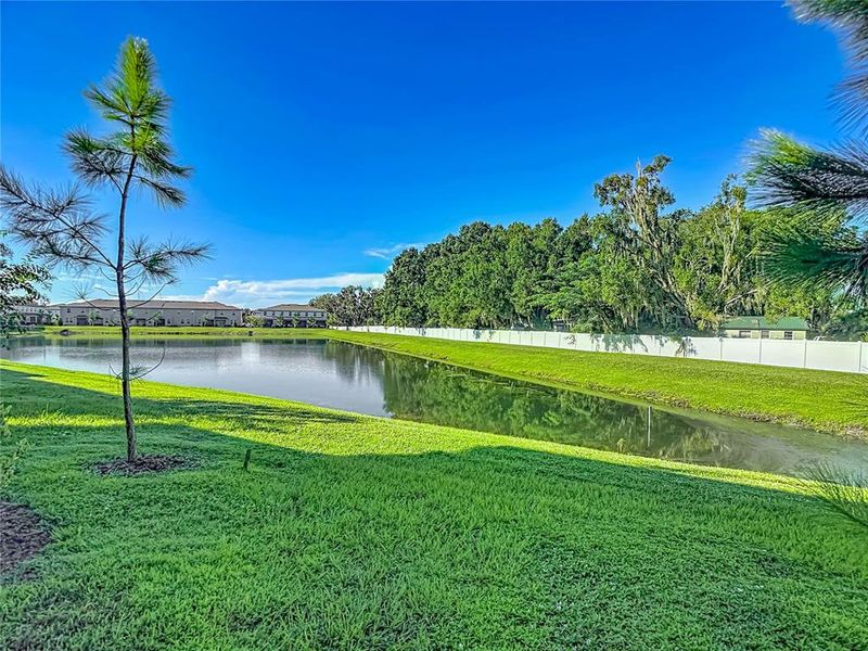 Natural landscape and outdoor views near  in Land O' Lakes (Image 53).