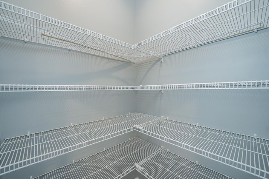 Image 46 representing the Roosevelt Elite by Enchanted Homes in Pointe Summit, Slater-Marietta, SC.