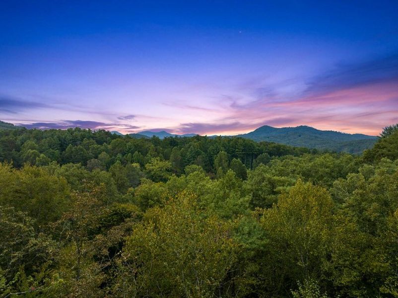 Natural landscape and outdoor views near  in Mineral Bluff (Image 35).