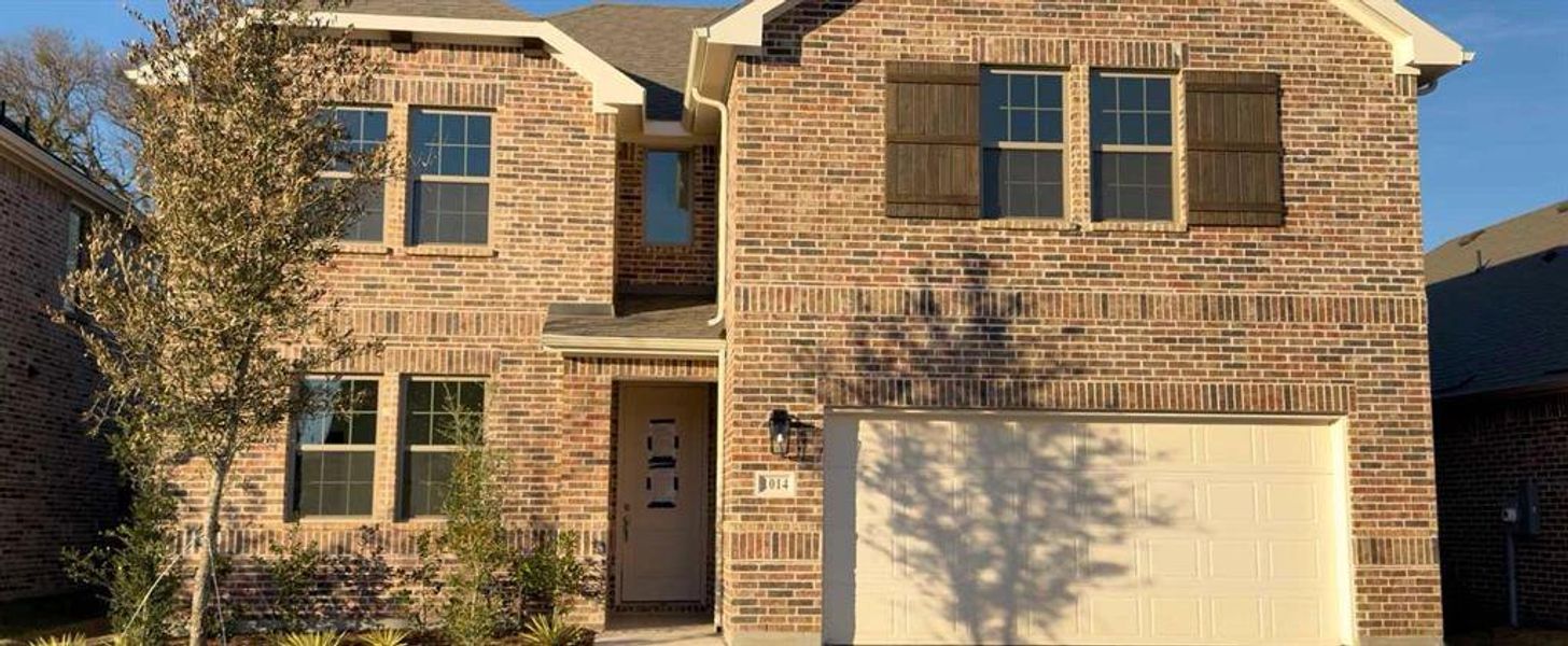 Exterior Design Construction Progress