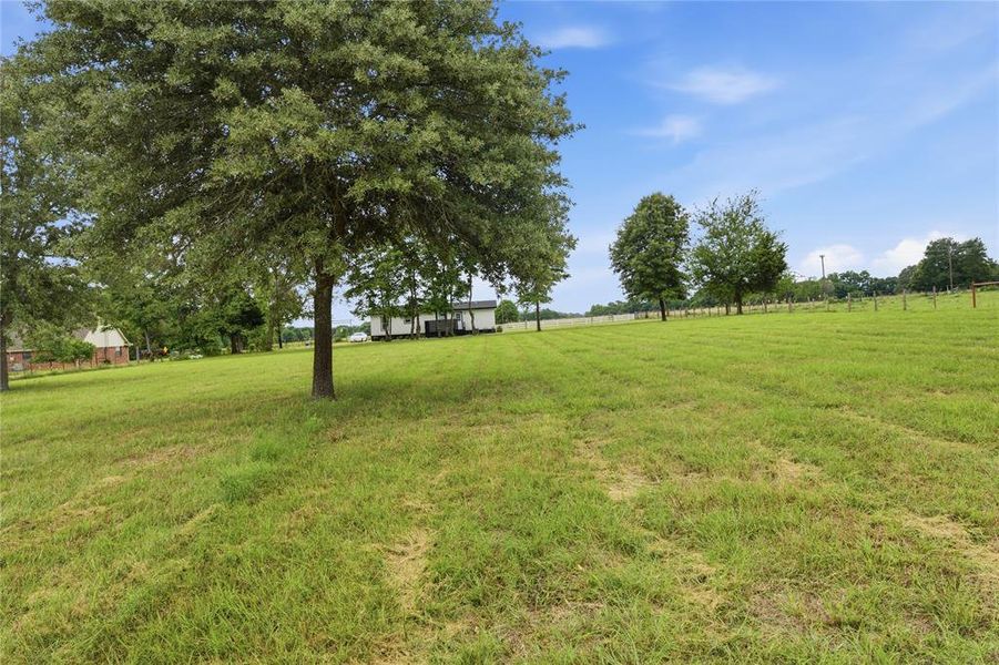 Expansive green lot featuring mature trees and a distant fence line