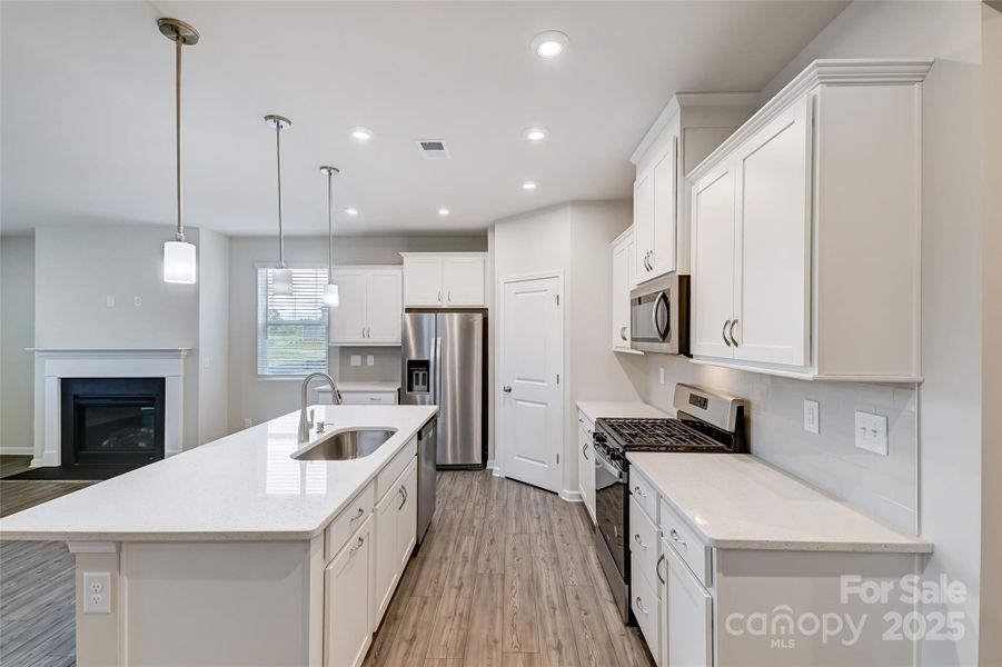 Model in another community for representation only. Colors and finishes will vary!