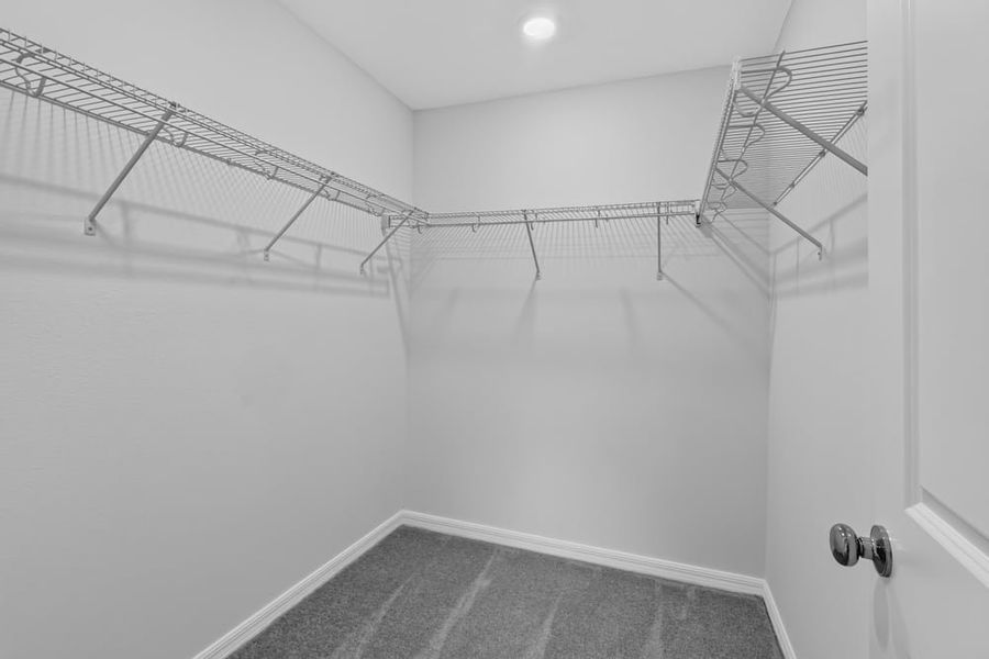 Representative unfurnished interior of a home built from the Kingfisher by Taylor Morrison in Waterstone, Groveland (Image 32).