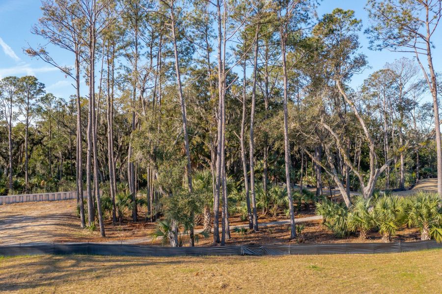 Natural landscape and outdoor views near Liberty Hill Farm in Mount Pleasant (Image 38).
