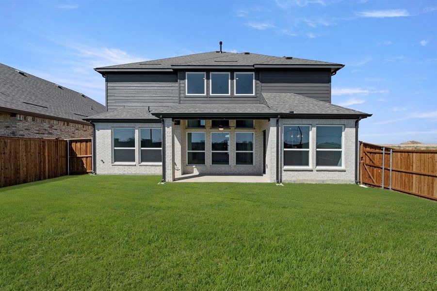 29. 5920 Mustang - Back 29. 5920 Mustang - Back