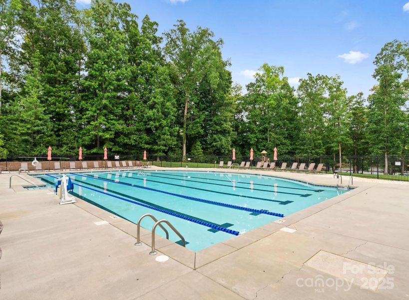 Olympic size swimming pool with swimming lanes and ledge seating