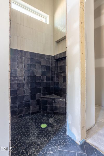 Primary Shower