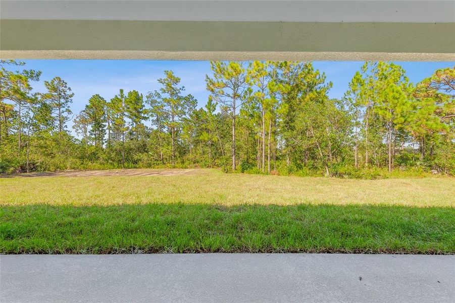 Natural landscape and outdoor views near in Orlando (Image 33). Natural landscape and outdoor views near in Orlando (Image 33).