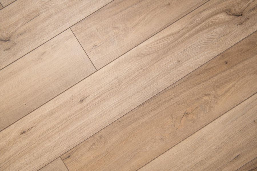 Close-up of interior finishes inside a home in Covered Bridge, Hutto (Image 24).