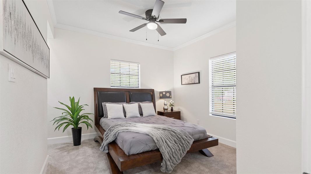 Downstairs primary bedroom