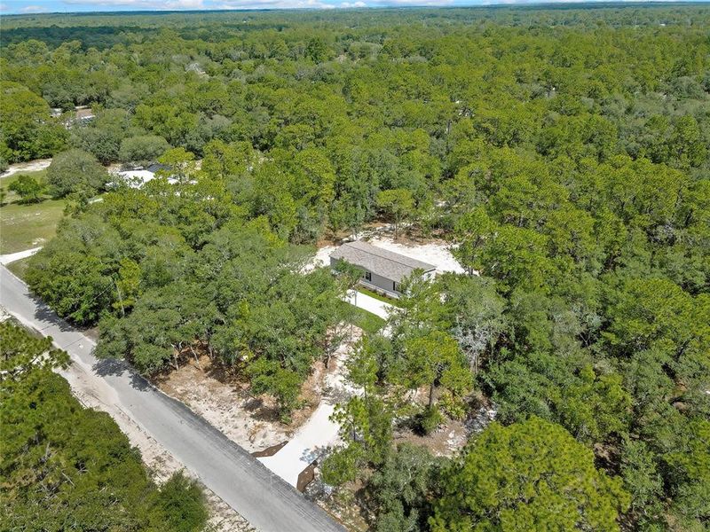 Natural landscape and outdoor views near  in Homosassa (Image 46).