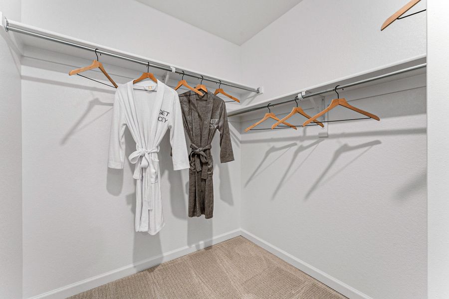 Image 49 representing the Fairmount | A Multi-Gen Home by Taylor Morrison in Macanta City Collection, Castle Rock, CO.