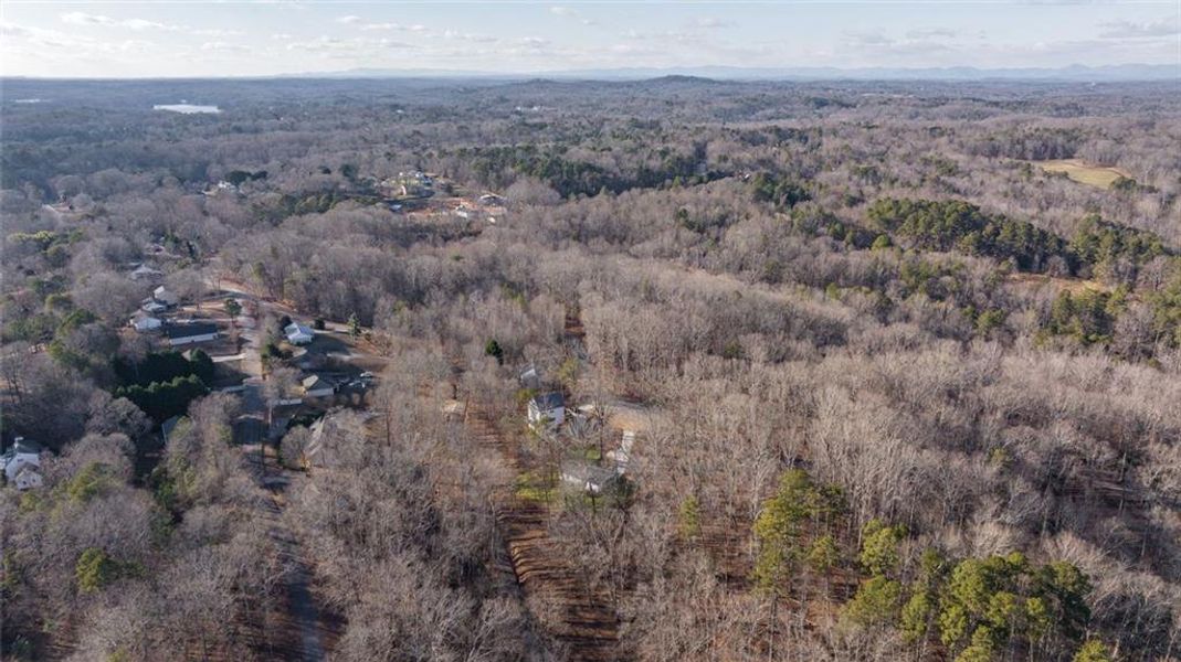 Natural landscape and outdoor views near  in Gainesville (Image 34).