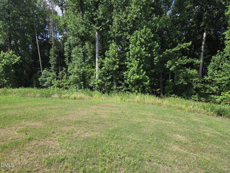 Backyard Backyard