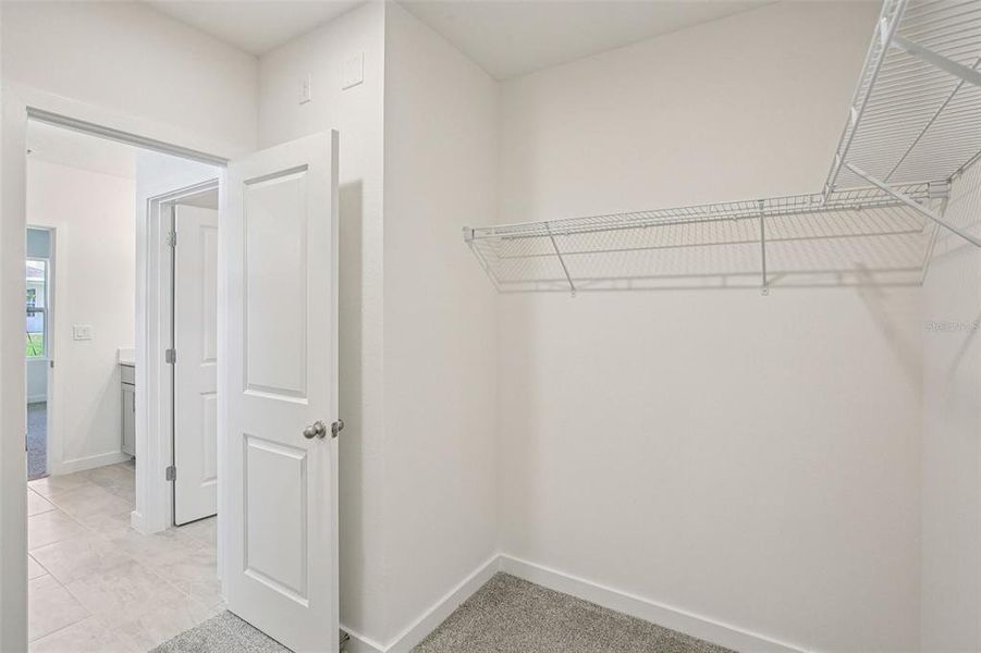 Spacious, unfurnished interior of a new home in Willowbrook North, Winter Haven (Image 25).