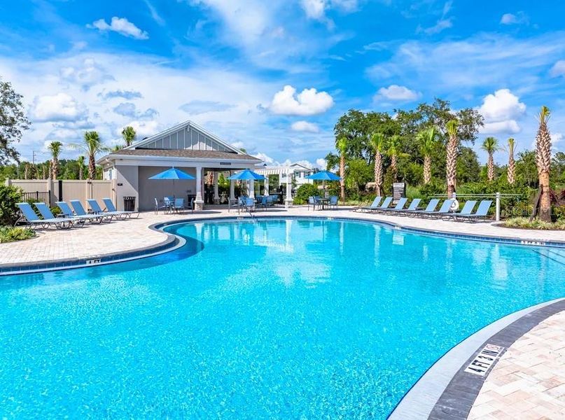 Community amenities in Palm Wind, Hudson (Image 18).
