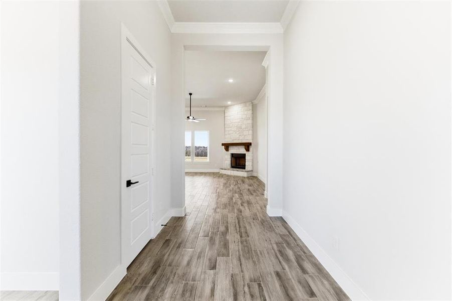 Corridor with crown molding and dark wood-style floors