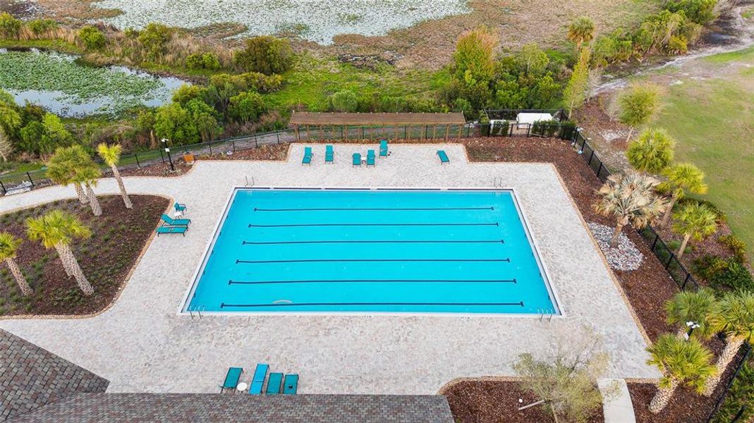 Community amenities in Hawkstone, Lithia (Image 39).