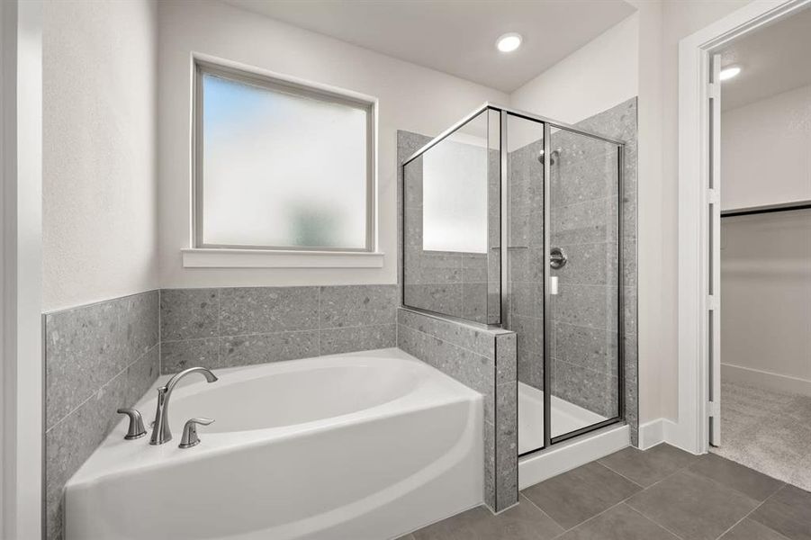 Discovery Collection at Bridgewater