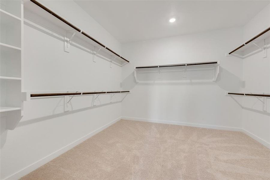 Spacious closet featuring light carpet