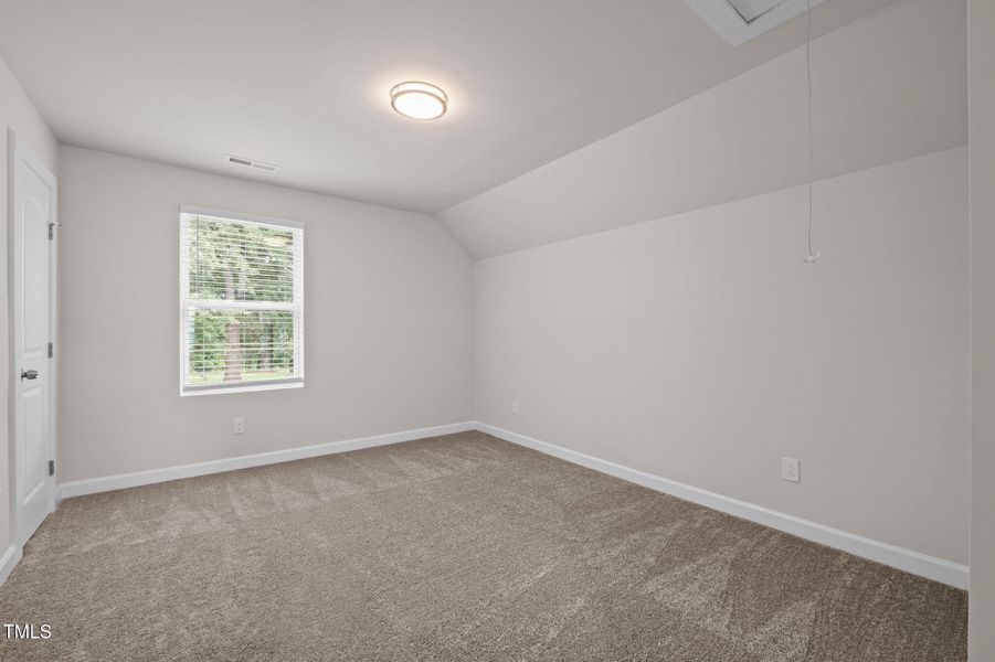 39-web-or-mls-P1078551_1