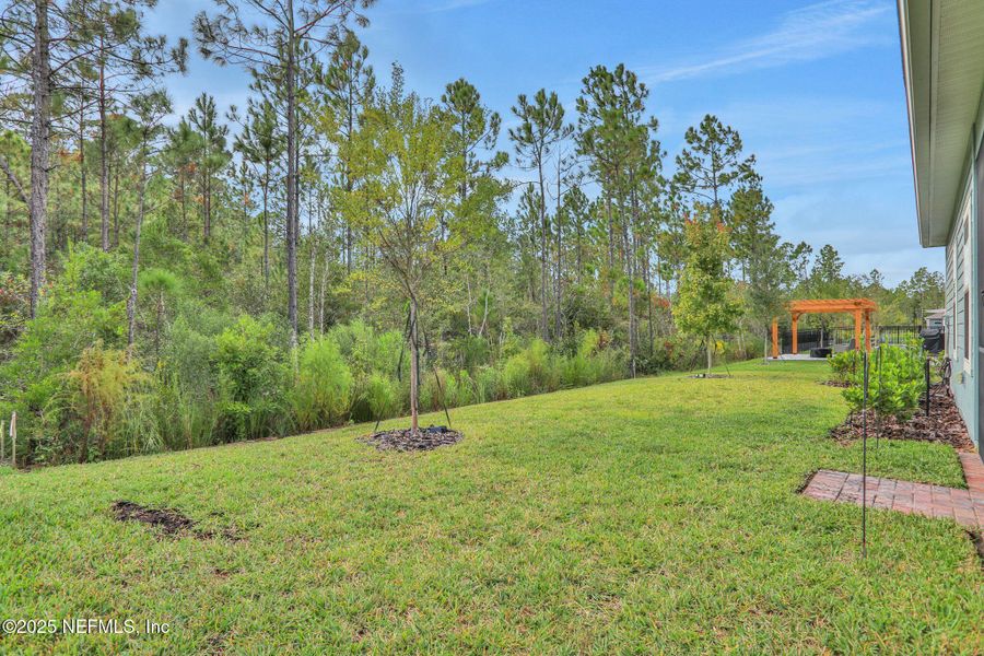Natural landscape and outdoor views near  in Yulee (Image 43).