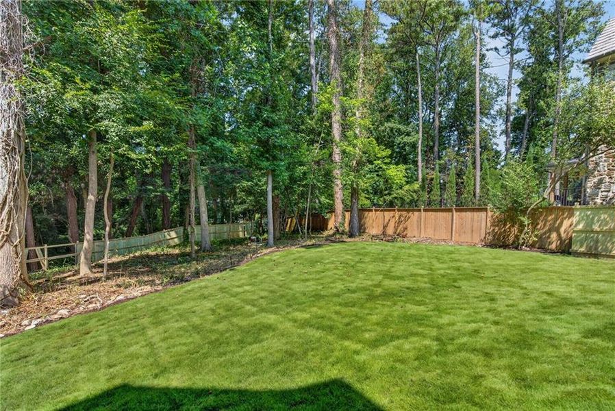Natural landscape and outdoor views near in Atlanta (Image 76). Natural landscape and outdoor views near in Atlanta (Image 76).