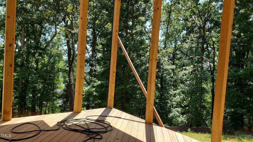 WFL 103 Lwr Level Deck View WFL 103 Lwr Level Deck View