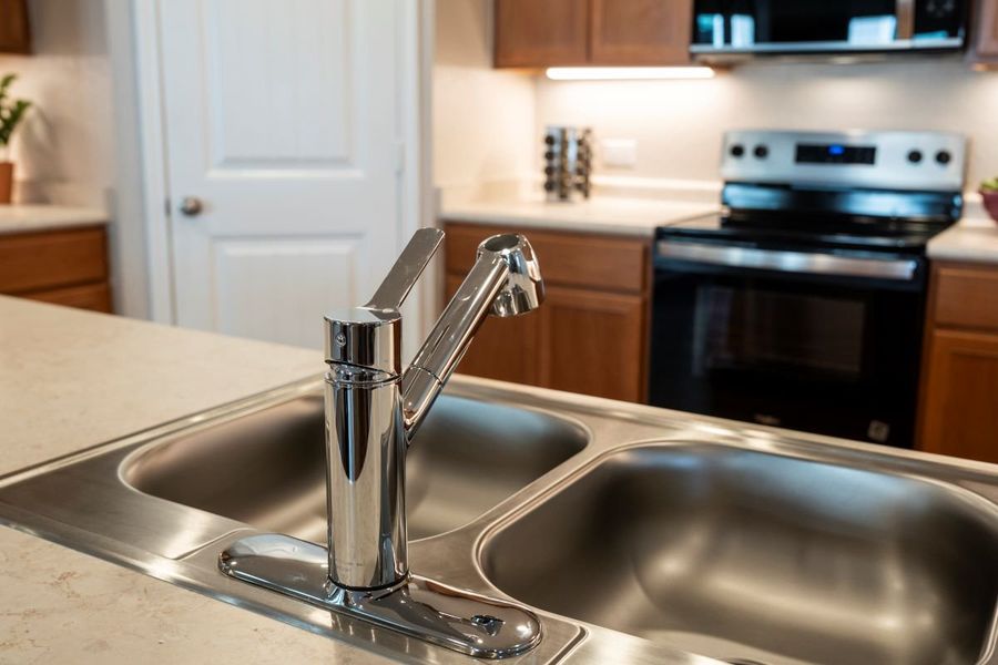 Dual-basin sink Dual-basin sink